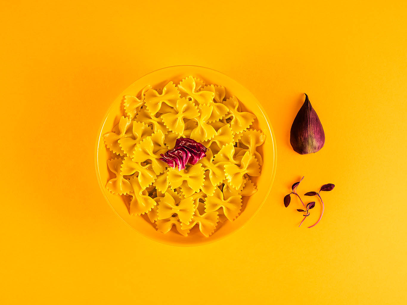 Packshot Factory - Coloured background - Farfalle pasta dish