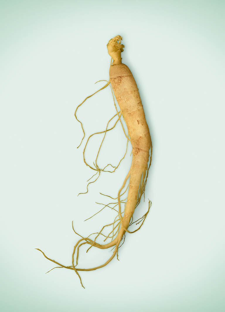 Packshot Factory - Coloured background - Ginseng root