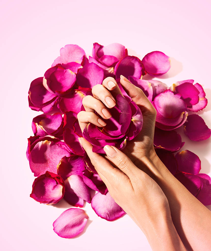 Packshot Factory - Coloured background - Rose petals with hand model
