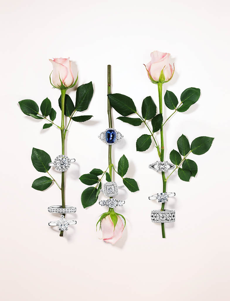 Packshot Factory - Coloured background - Silver rings and roses