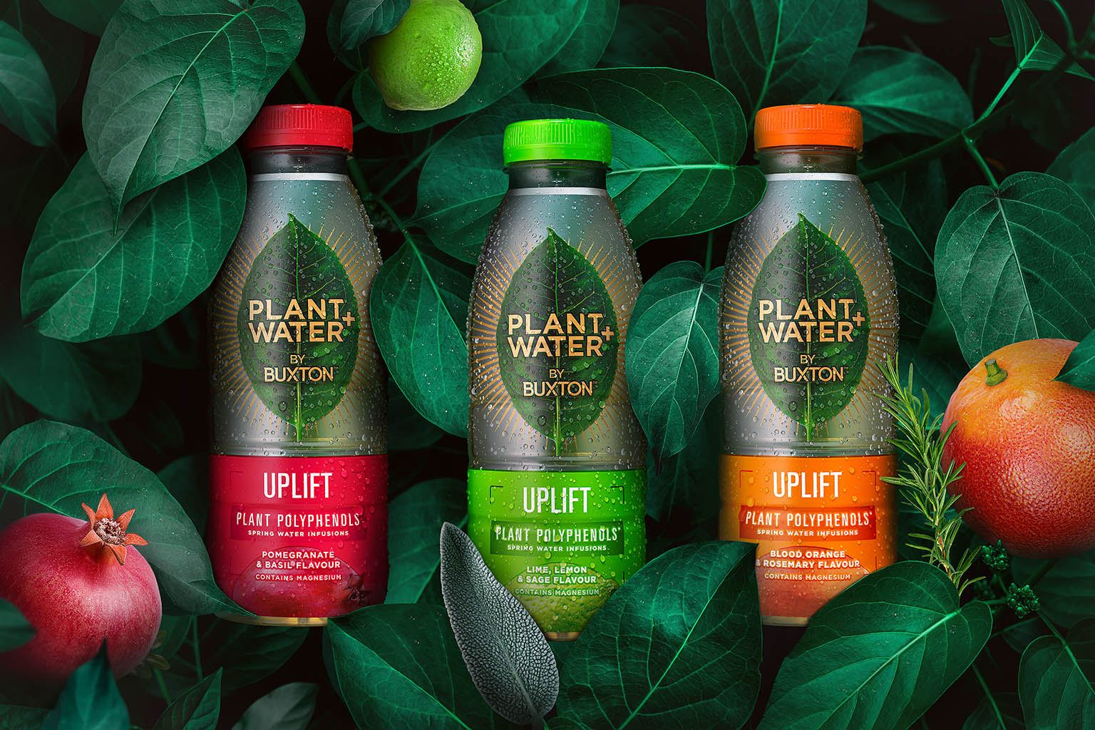 Drinks Photography of Buxton water bottles with fruits by Packshot Factory