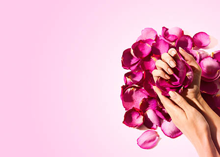 Coloured background Explorer of Rose petals with hand model
