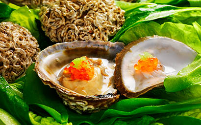 Food Photography of Oysters and caviar