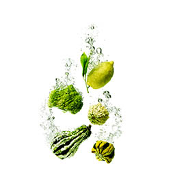 White background Explorer of Fruits and vegetables sumberged in water