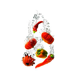 White background Explorer of Vegetables sumberged in water