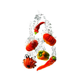 Liquid Explorer of Vegetables sumberged in water