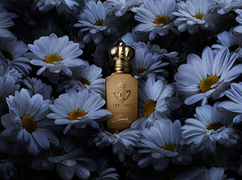 Fragrance Explorer of Clive Cristian fragrance bottle