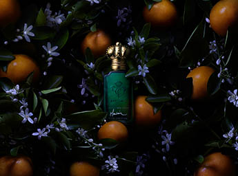 Ingredients Explorer of Clive Cristian fragrance bottle