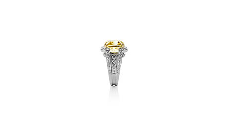 Diamond Explorer of Ritz Fine Jewellery platinum ring with yellow diamond