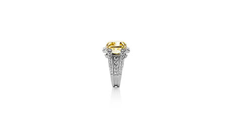 Fine jewellery Explorer of Ritz Fine Jewellery platinum ring with yellow diamond