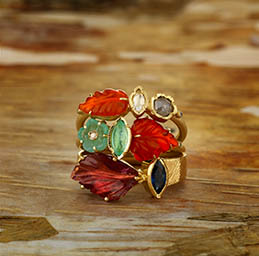 Coloured background Explorer of Book Gregson rings with precious stones