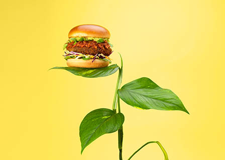 Coloured background Explorer of Vegeterian burger