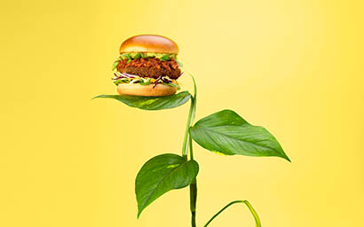 Coloured background Explorer of Vegeterian burger