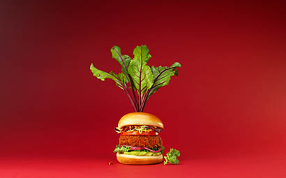 Coloured background Explorer of Vegeterian burger