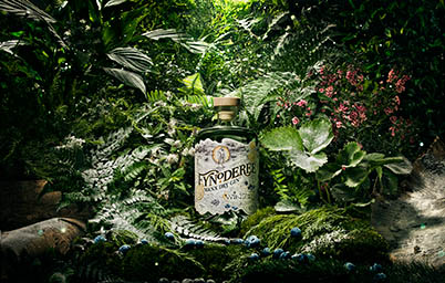 Drinks Photography of Fynoderee gin bottle