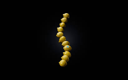 Black background Explorer of CoOp lemons