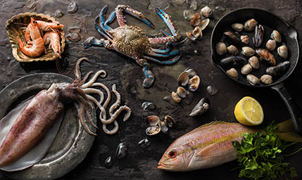 Food Photography of Seafood