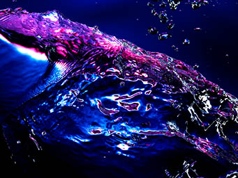 Liquid / Smoke Photography of Abstract water splash