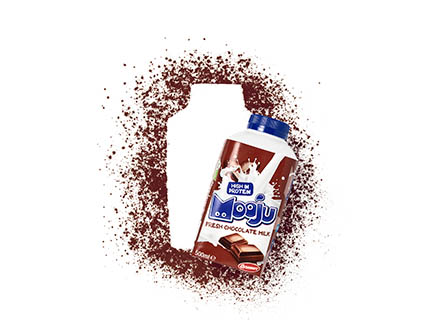 White background Explorer of Mooju chocolate milk