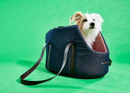 Still life product Photography of Lish dog carrier bag