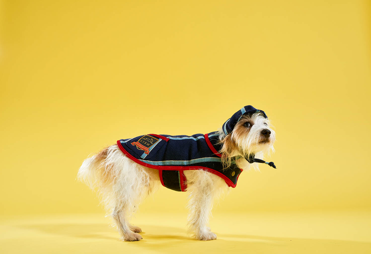 Still Life Product Photography of Lish dog coat by Packshot Factory